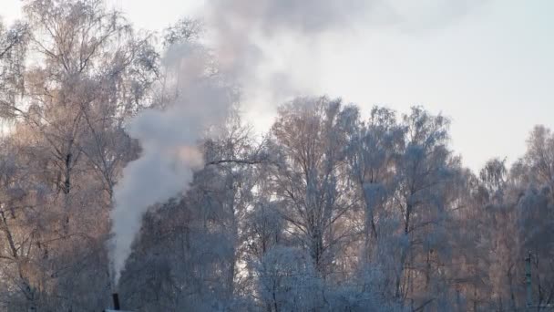 Estaciones Invierno Estufa Calefacción Casa Humo Espeso Chimenea Sobre Fondo — Vídeos de Stock