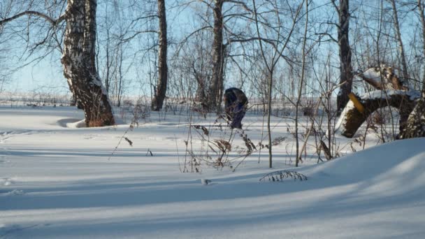 Βόλτα Σκι Ένας Σκιέρ Βγάζει Σκι Του Ένα Χειμερινό Δάσος Βίντεο Κλιπ