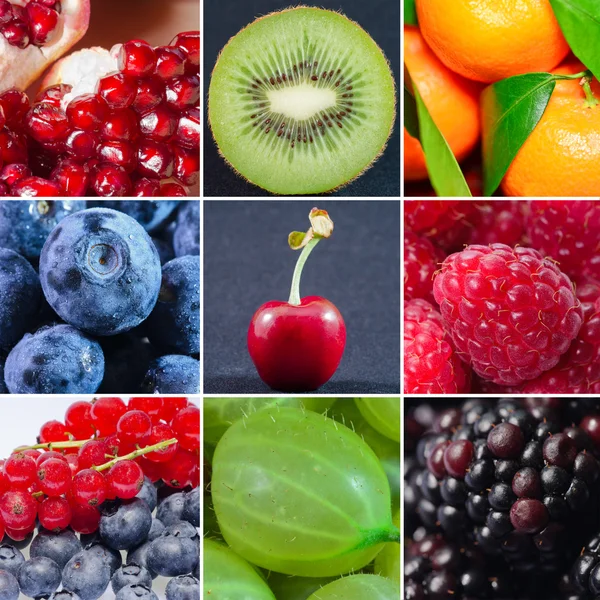 Fruit — Stock Photo, Image