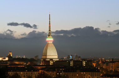 Köstebek antonelli