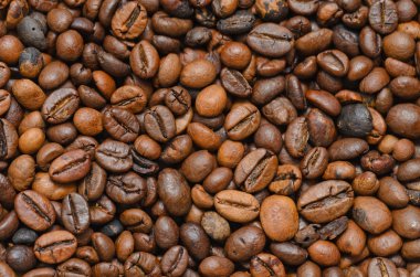 kavrulmuş kahve çekirdeği