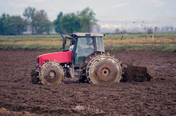 Rice fields - Preparation for sowing
