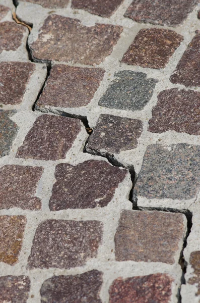 Crack in the road surface — Stock Photo, Image