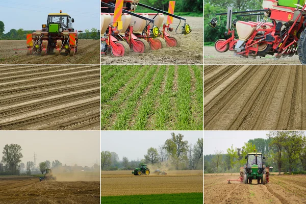 Agriculture — Stock Photo, Image