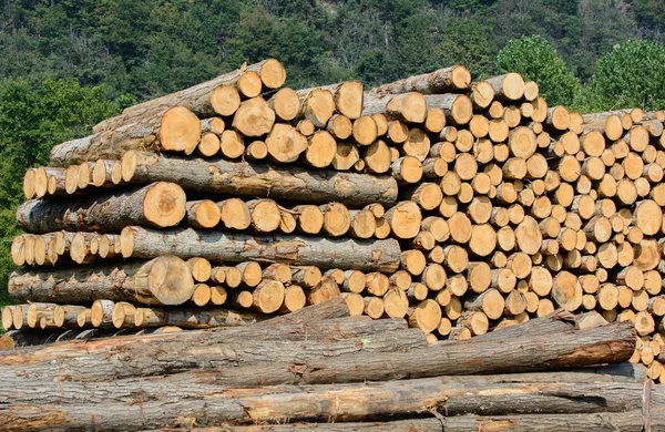 Building timber — Stock Photo, Image