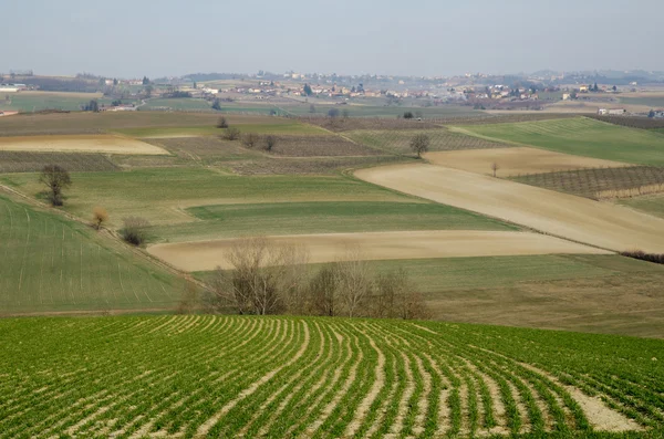 The hills of Tortona and Alessandria — Stock Photo, Image