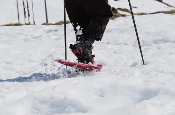 Snowshoeing — Stok fotoğraf