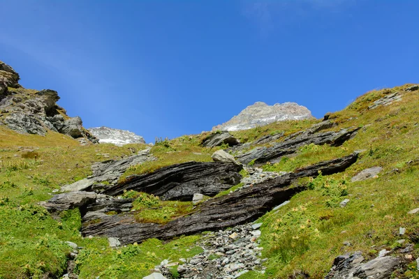 Pascoli di montagna — Foto Stock