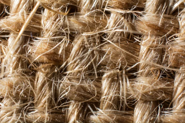 Jute fiber