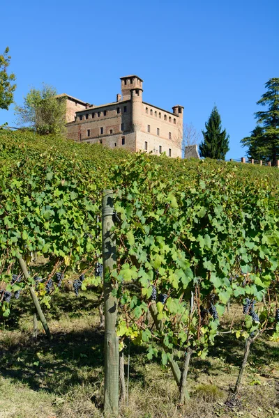 Castello di Grinzane — Foto Stock