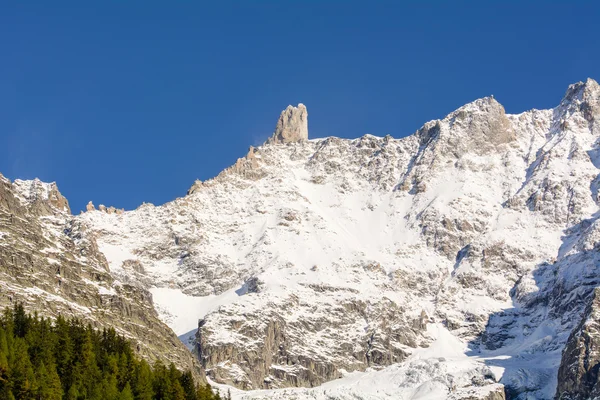 Gigant s ząb — Zdjęcie stockowe