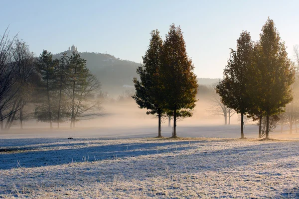 Hoarfrost and mist at dawn — Stock Photo, Image