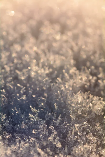 Schneekristalle in der Sonne der Morgendämmerung — Stockfoto