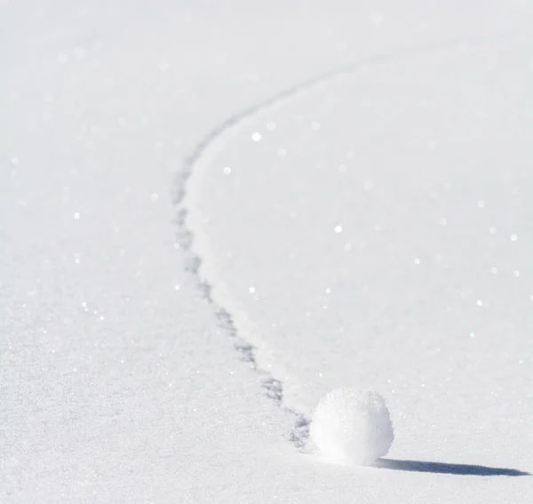 Bola de nieve — Foto de Stock