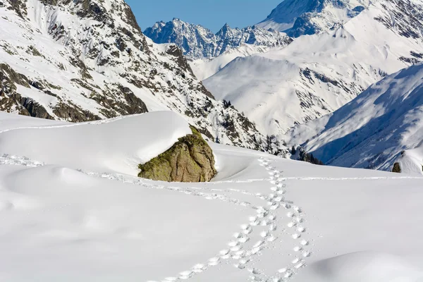 Veduta di Valdigne — Foto Stock