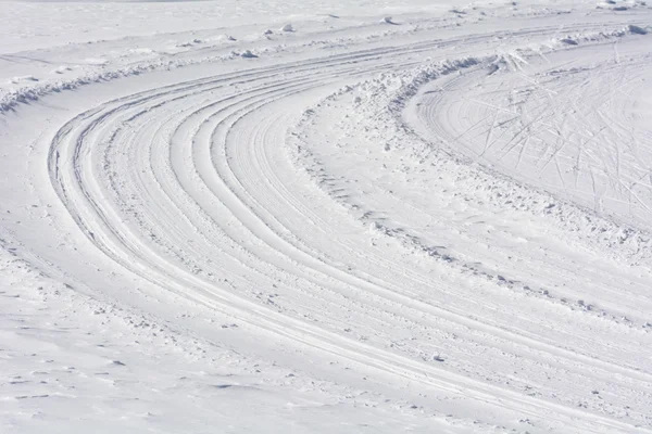 Ski de fond — Photo