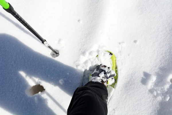 Snowshoeing — Stok fotoğraf