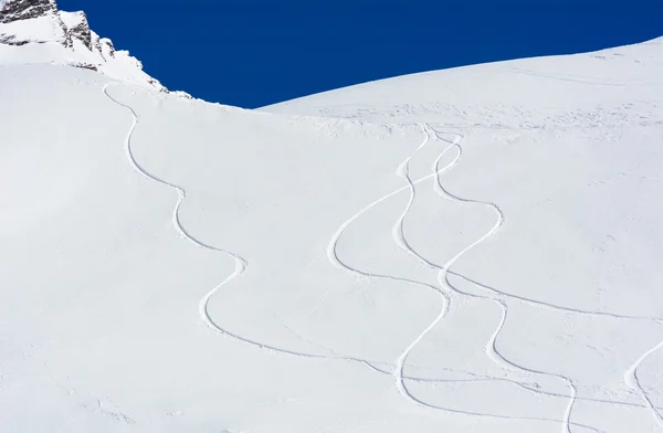 Ślady skialpinizmu — Zdjęcie stockowe