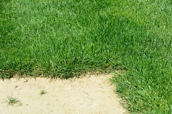 Için rulo çim — Stok fotoğraf