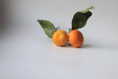 Gri arka planda yaprakları olan iki mandalina.
