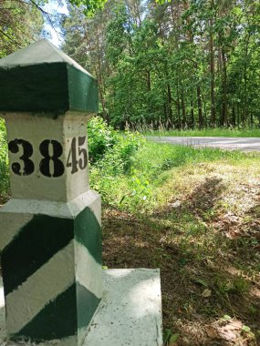 Güzel botanik fotoğrafı, doğal duvar kağıdı.