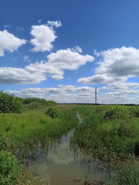 Kırsalda küçük bir nehir.