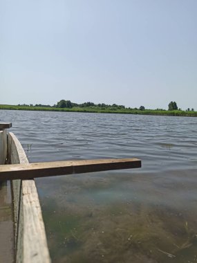 Parktaki nehrin güzel manzarası