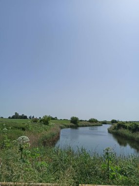 Gölü ve yeşil ağaçları olan güzel bir manzara.