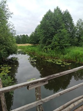 Parktaki nehrin güzel manzarası