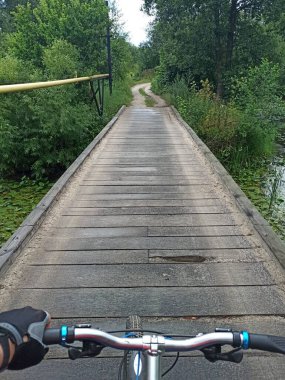 Ormanda bisiklet süren bir bisikletçi.