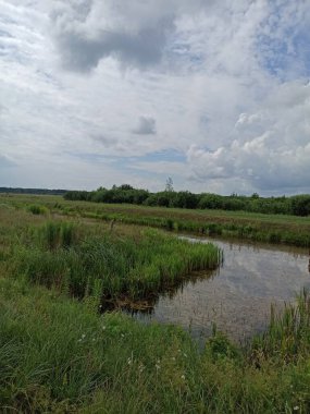 Nehir ve gölü olan güzel bir manzara.