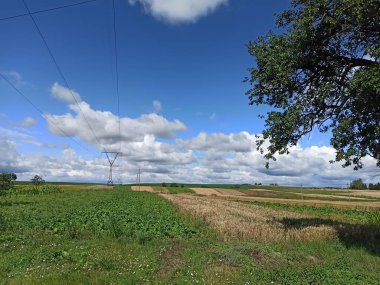 Yeşil çimen ve mavi gökyüzü olan güzel bir manzara.