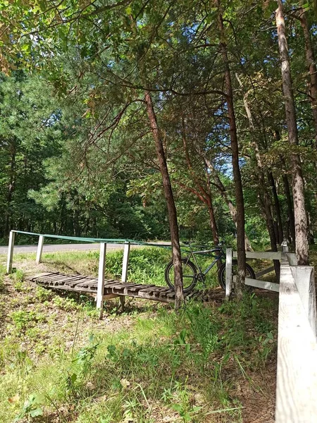 Деревянный Забор Парке — стоковое фото