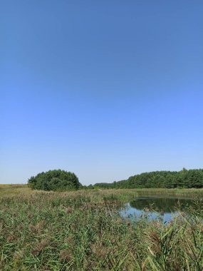 Nehir ve gölü olan güzel bir manzara.