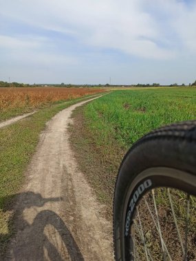 Yazın kırsalda yol.