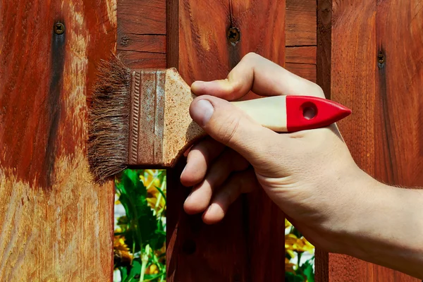 Painting wooden fence — Stock Photo, Image