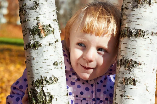 Cunning little girl with birch — Stock Photo, Image