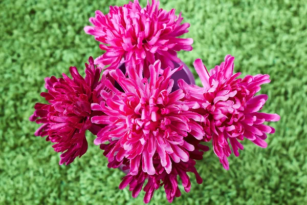 Güzel çiçekler mor bir seramik vazoda — Stok fotoğraf