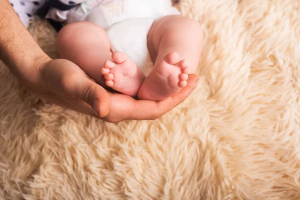 Ο μπαμπάς κρατάει στα χέρια του ένα μικρό ποδαράκι. Μικρά πόδια νεογέννητου μωρού σε μεγάλα χέρια του μπαμπά. Μασάζ ποδιών μωρού — Φωτογραφία Αρχείου