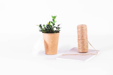 Yeşil dallı, iplik sarmalı ve beyaz arka planda not defteri olan kahve fincanı dolusu yeniden kullanılabilir malzeme. sıfır atık konsepti. Ekoloji. Plastik bardakların yerine. Uzayı kopyala, yeşile git, izole et