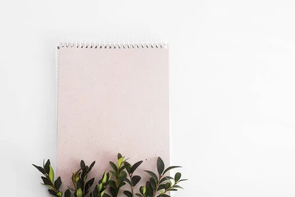 Organic paper notebook with green twig on white background. zero waste concept — Stockfoto
