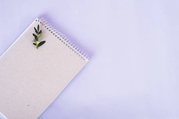 Organic paper notebook with green twig on Very Peri background. zero waste concept — Stok fotoğraf
