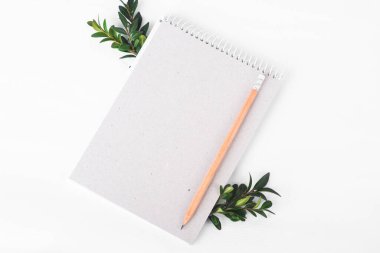 Beyaz arka planda yeşil dalı olan organik kağıt defter. sıfır atık konsepti. Harika bir iş fikri, beyaz izolasyon üzerindeki geri dönüşüm konsepti. Çevre dostu