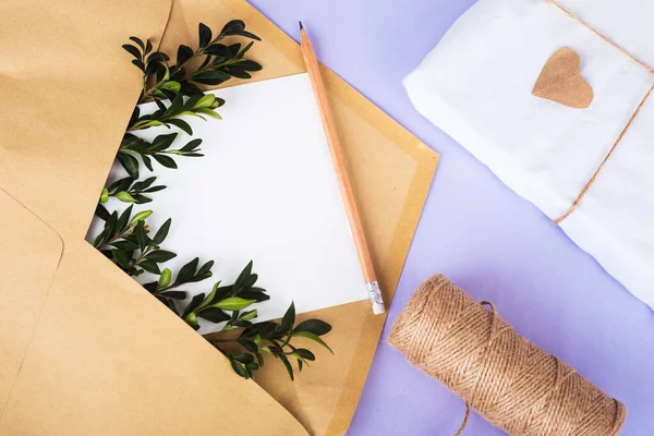 Opened Craft Paper Envelope Empty Paper Green Twigs Bundle Winding — Zdjęcie stockowe