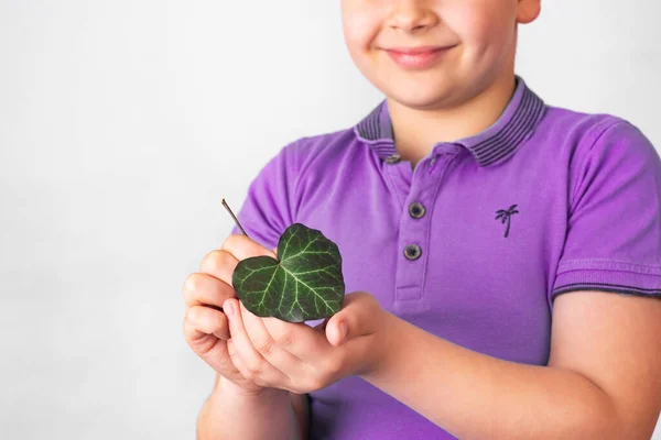 에너지 가능하고 티셔츠를 셰이프그린 Heart Shape Green Leaf Chest Chest — 스톡 사진