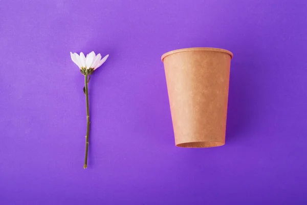 Sırtında Içki Bardağı Beyaz Çiçeğin Yaratıcı Kompozisyonu Çevre Koruma Kavramı — Stok fotoğraf