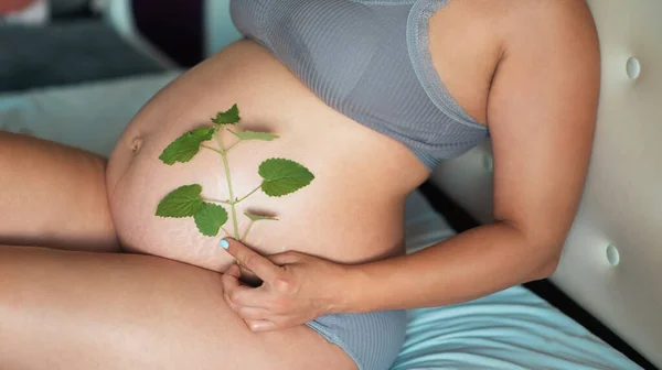 Jonge Zwangere Vrouw Streelt Haar Buik Met Een Groen Takje — Stockfoto