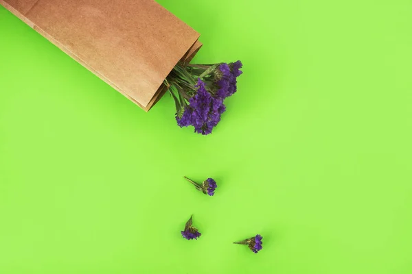 Mavi, kurumuş çiçekleri yeşil arka planda kağıt torbaya koyup kapat. Üst görünüm, alanı kopyala — Stok fotoğraf