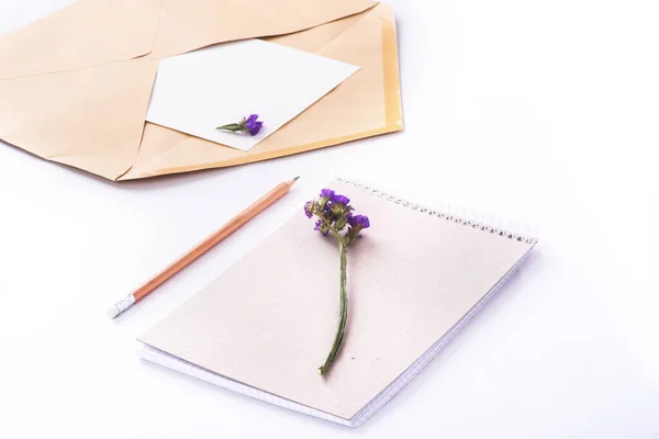 Üzerinde Mavi Kurumuş Çiçekler Beyaz Arka Planda Açık Posta Zarfları — Stok fotoğraf