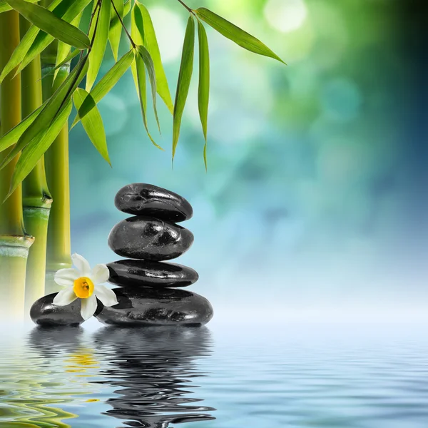 Stones and Bamboo on the water with narcissus flower — Stock Photo, Image